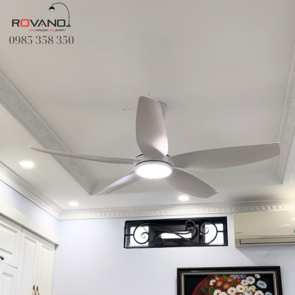 Quạt Trần Đèn RQT-410