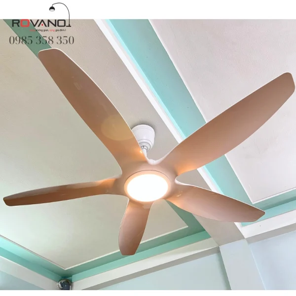 Quạt Trần Đèn 5 Cánh Nhựa RQT-411