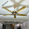 Quạt Trần Đèn 5 Cánh Sắt RQT-816