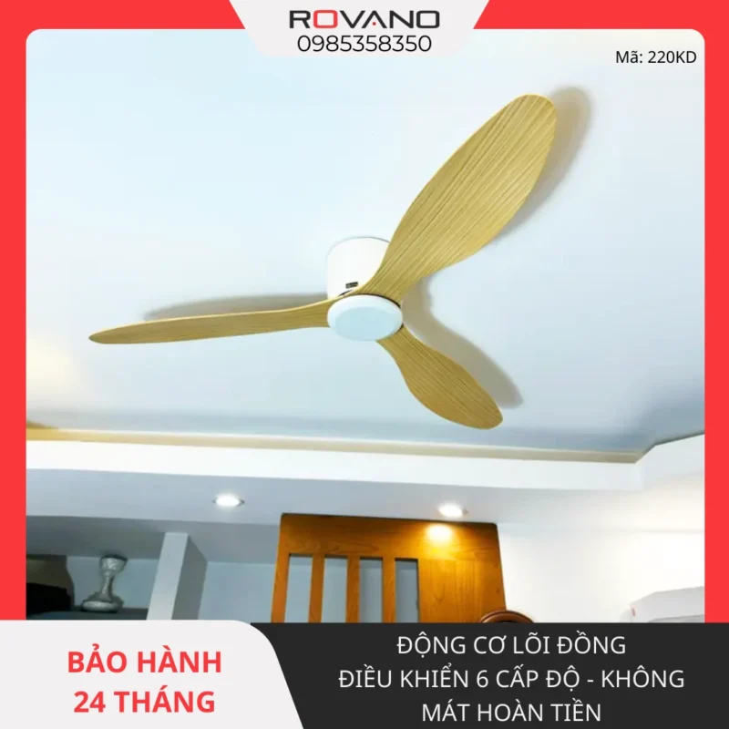 Quạt trần RQT-220KD