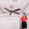 Quạt Trần Italia RQT-FY508KD