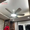 Quạt Trần Đèn RQT-213