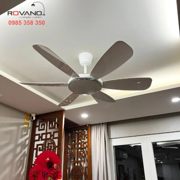 Quạt Trần Đèn RQT-213