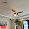 Quạt Trần Đèn 5 Cánh Sắt RQT-218